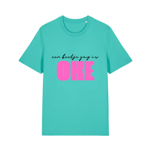 een beetje gay is oke T-shirt